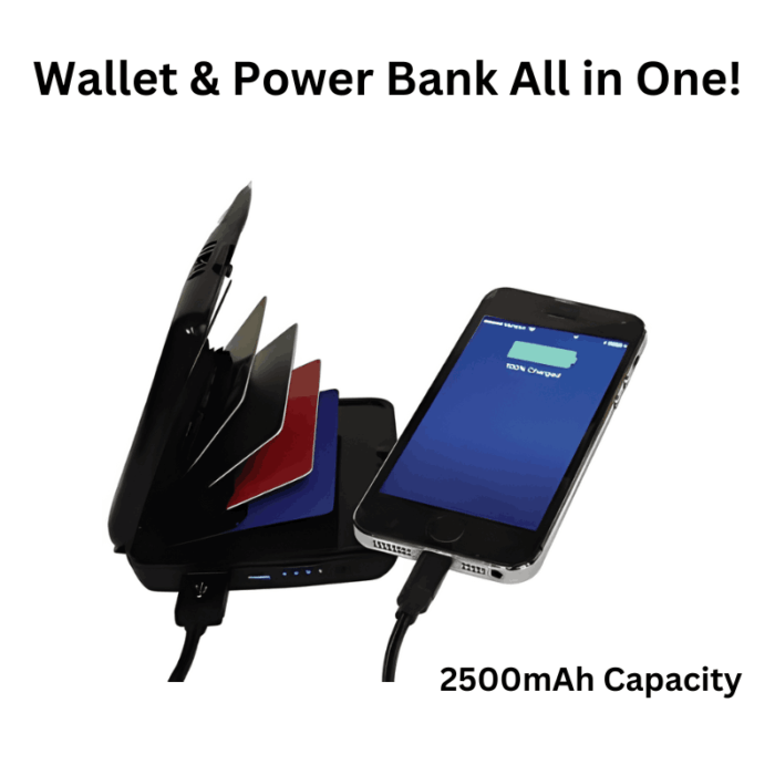 Power Bank & Credit Card Case