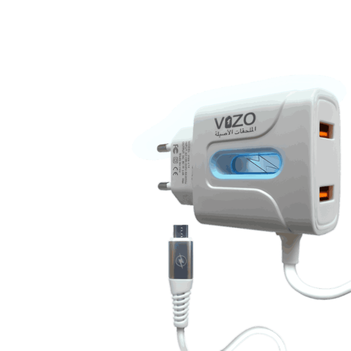 VIZO V14 adapter with dual USB ports