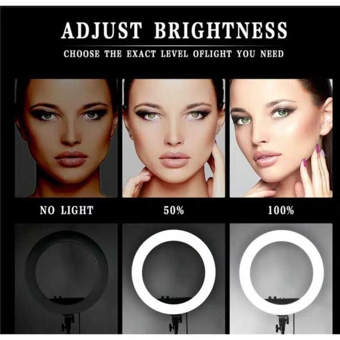 BD-360 Ring Fill Light with Brightness Features